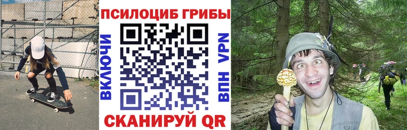 продажа наркотиков  Сосновоборск  Галлюциногенные грибы ЛСД 