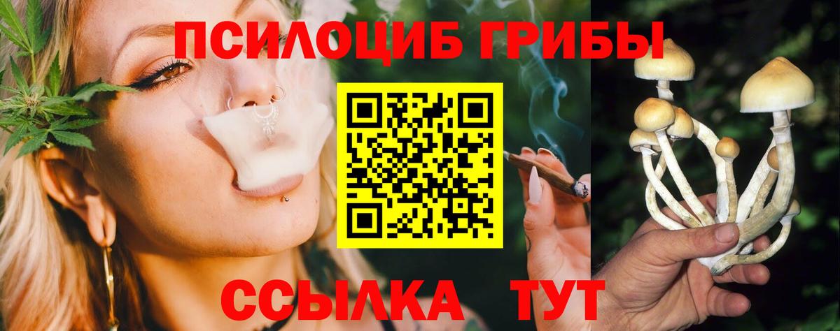 Псилоцибиновые грибы мухоморы Сосновоборск
