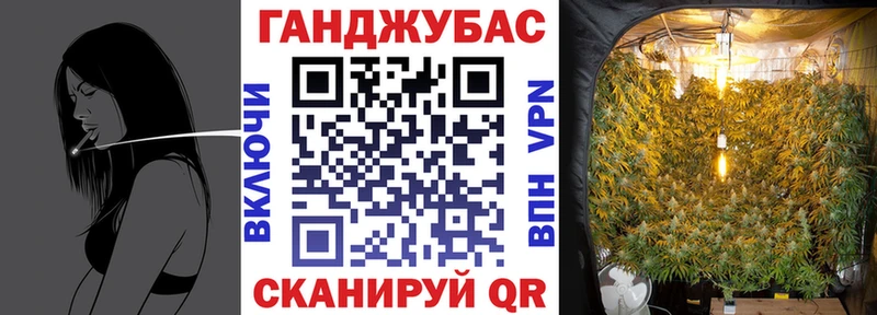 Бошки марихуана сатива  Сосновоборск 